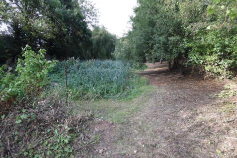 Woodland