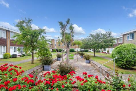 Communal Garden