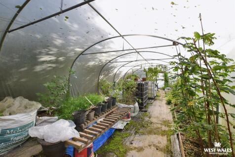 Polytunnel