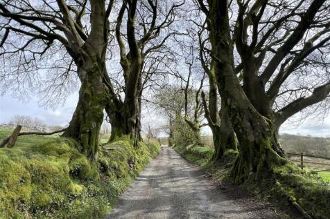 Lane to House