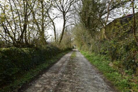 Lane to House