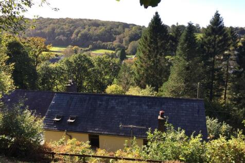 Derwenlas garden