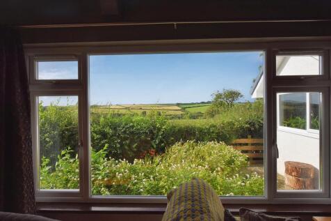 View from Living Room