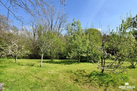 Orchard / Grounds