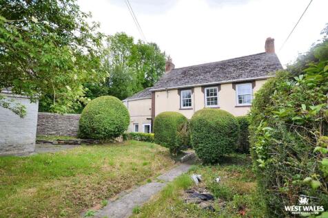 Front of House / Garden