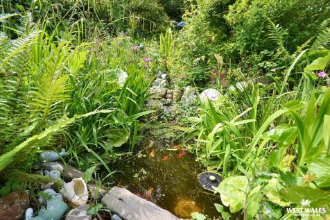 Garden 4