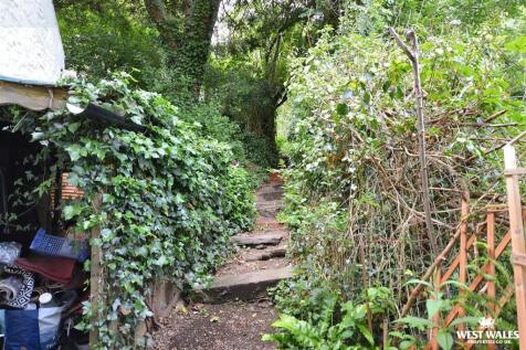 Garden 7