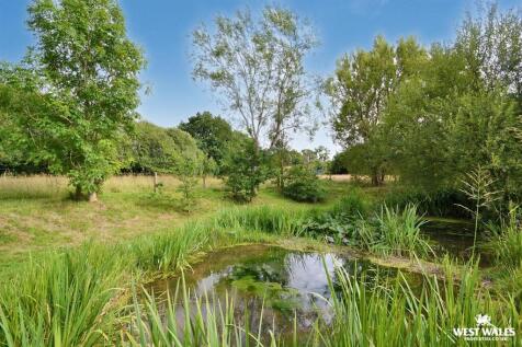 Pond