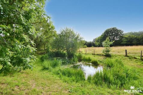 Pond
