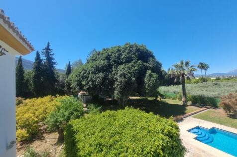 Property Image 42