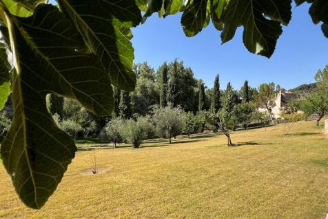 Property Image 63
