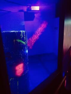 Photo 200