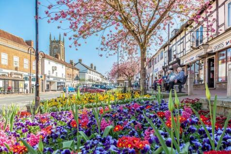 7 Flowers Close Up.jpg
