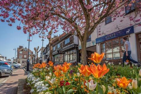Street With Flowers.jpg