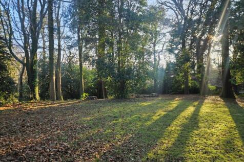 Property Image 45