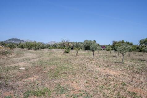 Finca Living-1
