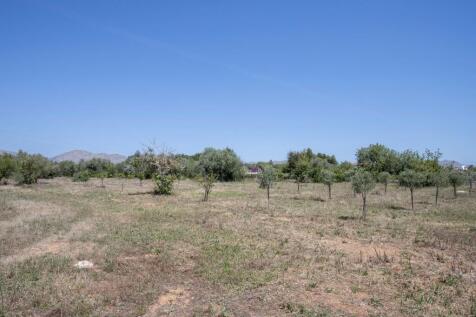 Finca Living-3