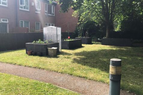 Communal garden 