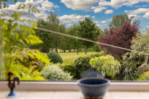 Kitchen View