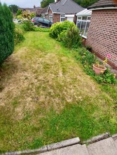 Side garden