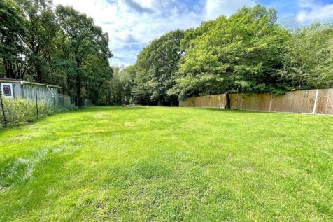 garden 2.jpg