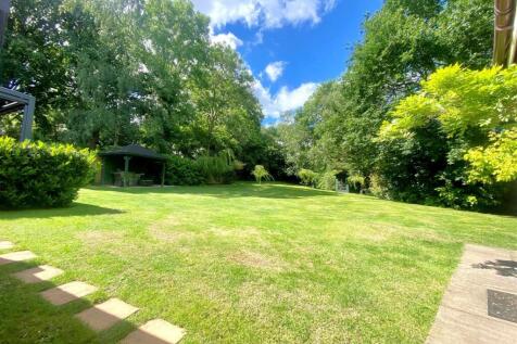 garden 3.jpg