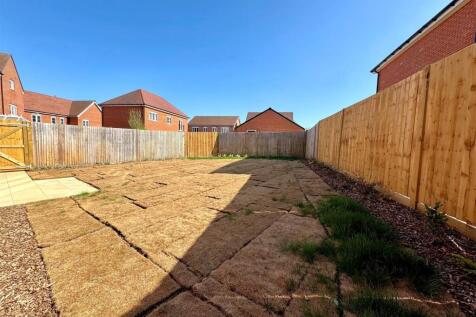 new garden.jpg