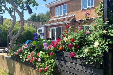 garden 3.jpg