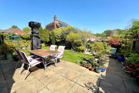 garden 5.jpg