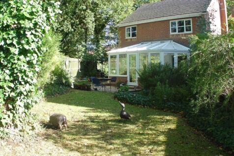 Property Image 6