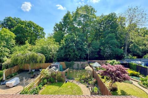 garden 6.jpg