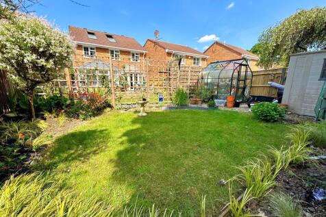 garden 4.jpg