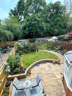 garden 5.jpg