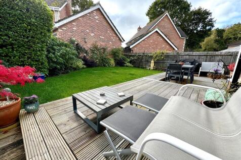 garden 4.jpg