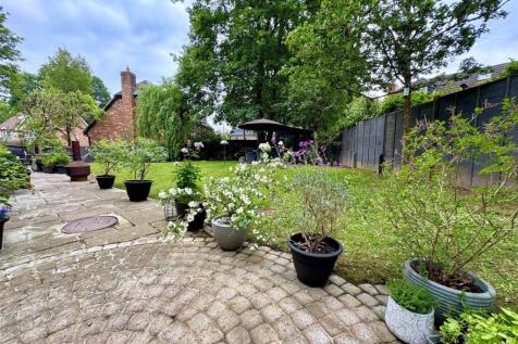 garden 4.jpg