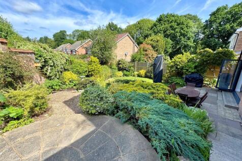 garden 2.jpg