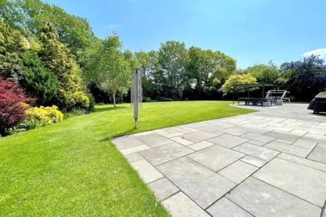 garden 6.jpg