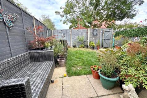 garden 2.jpg