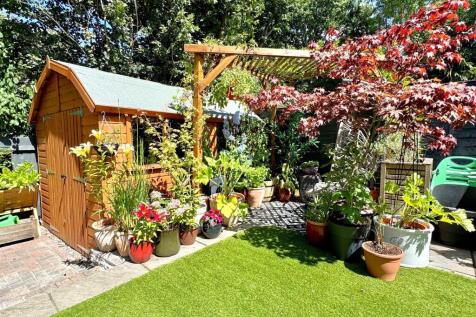 garden 3.jpg
