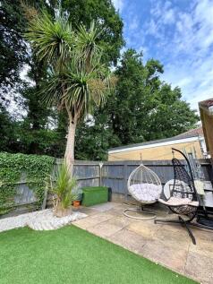 garden 2.jpg