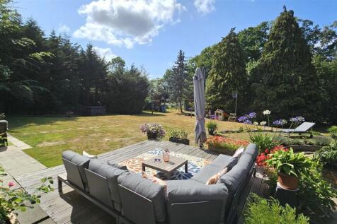 garden 5.jpg