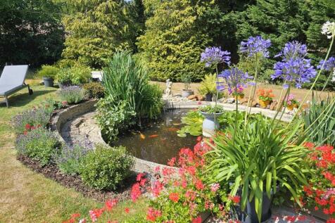 garden 4.jpg