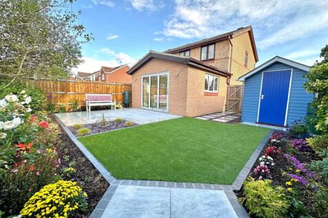 new garden.jpg