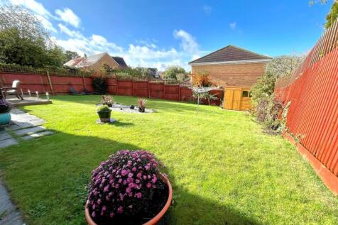 garden 2.jpg