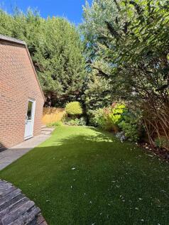 garden 2.jpg