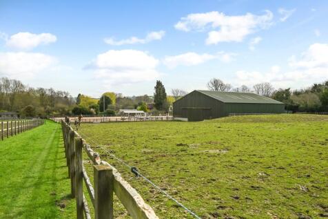 |Paddocks