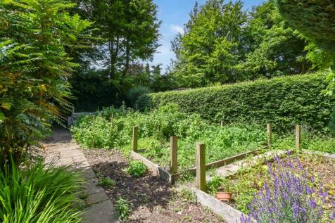 Vegetable Garden