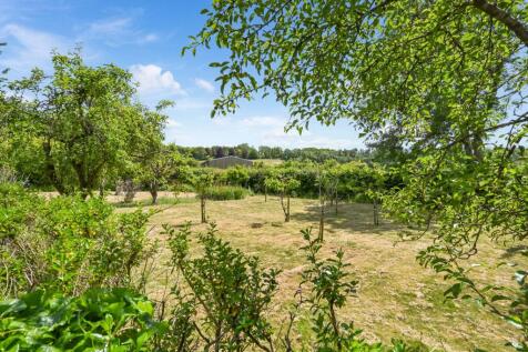 Front Garden - Orchard