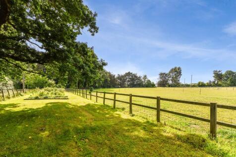 Kitchen garden &amp; paddock