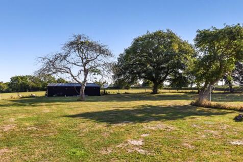 Paddock &amp; Barn
